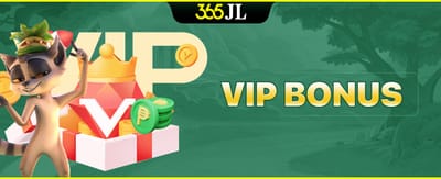 VIP Bonus and Premium Casino Experience